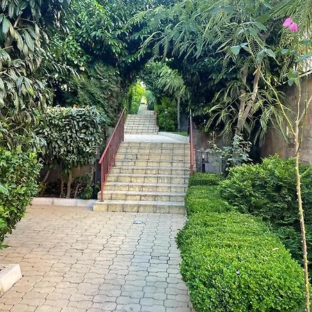 Helios I Premium 스베티 블라스